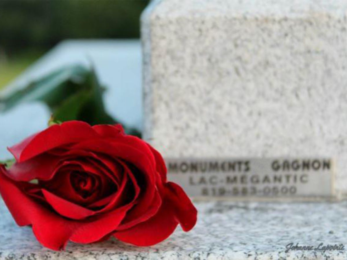 Pierre tombale et rose Monuments Gagnon par Johanne Lapointe